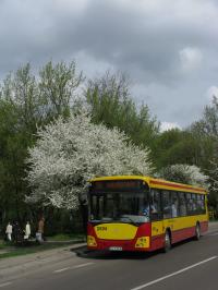 img_4576.jpg